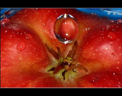 A drop on the apple