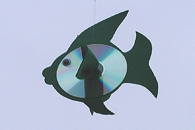 Fish CD