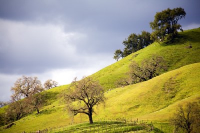 Napa