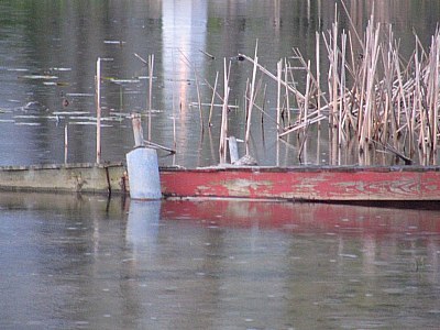 dock, sinking