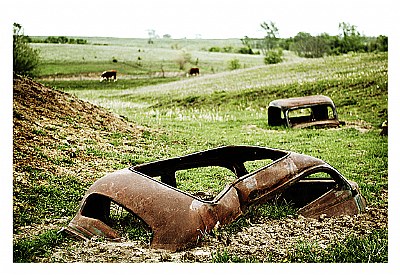 cars in pasture