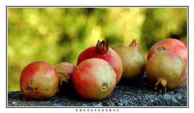 the pomegranates