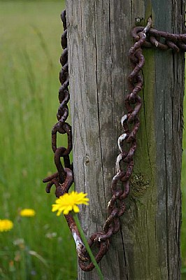 chain