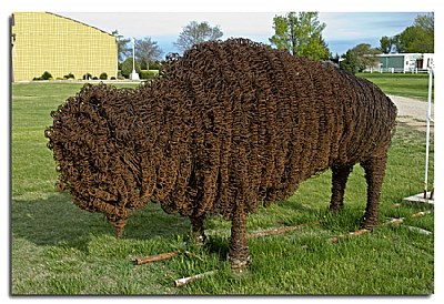 Wire Buffalo