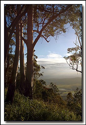 Gums with a View.