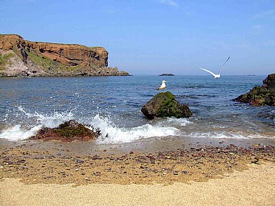 Eyemouth Bay