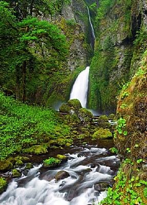 Wahclella Falls