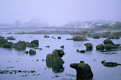 Misty Coast