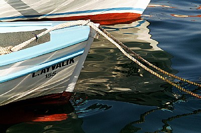 Water Reflection