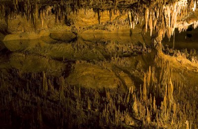 Underground Reflection