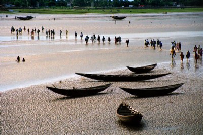 River bed at low tide