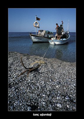 busy fishermen, lazy stones in Olympos/ANTALYA