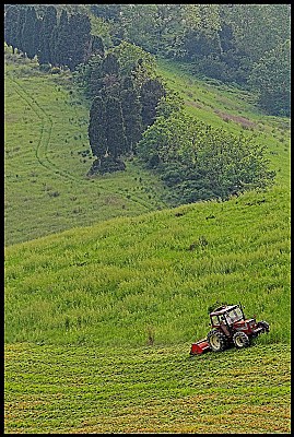 verde Toscano #139