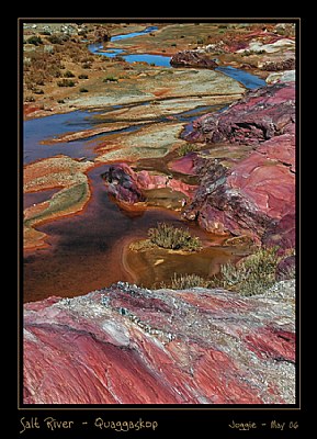 Salt River - Quaggaskop