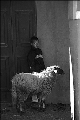 the boy and the lamb .BW.