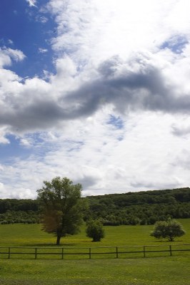 Lainzer Tiergarten