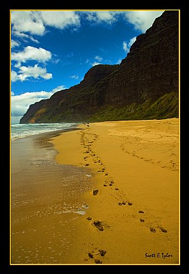 Beach walk