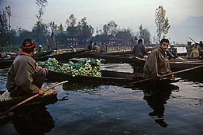 Vegetable Market on Dal Lake