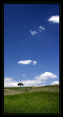 alone