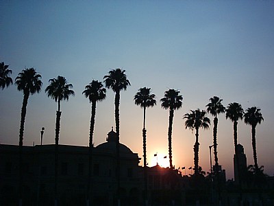 sun set at cairo universty