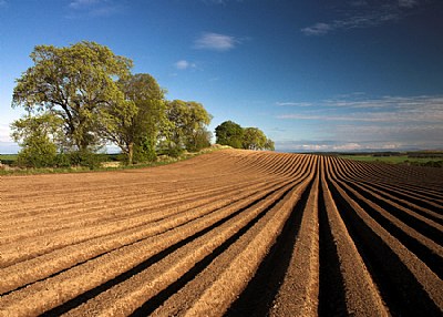 A view to be ploughed..