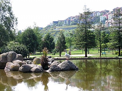 Bahçe&#351;ehirin efesi..