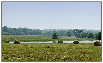 Hay making time in Texas