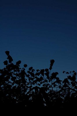 Out of the Blue and into the Black
