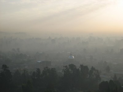 Misty Morning