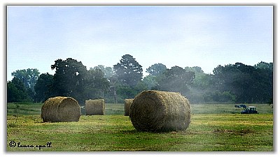 Making hay 2