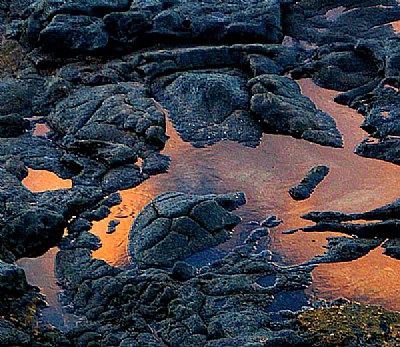 Lava Rock and Sunset