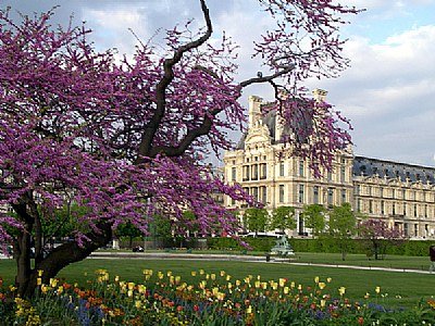 Springtime in Paris...