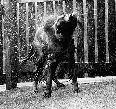 Bath Time