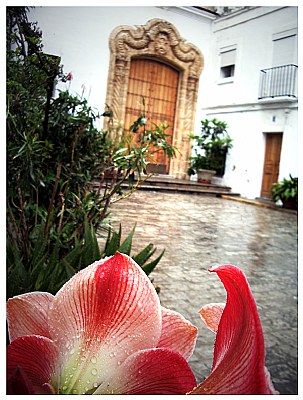 Plaza Del  Angel