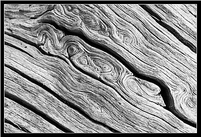 Wood Whirls Abstract 1
