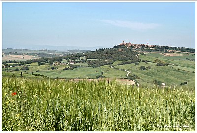 Colori di primavera 3