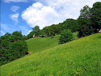 Colori della natura