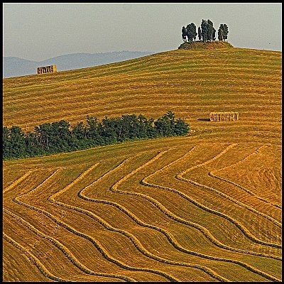 grafismi naturali