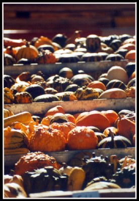 Still life at the bazaar