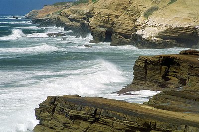 Surf at Point Loma