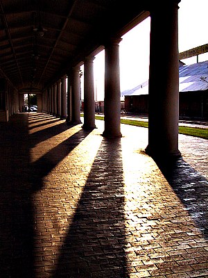 Symmetry