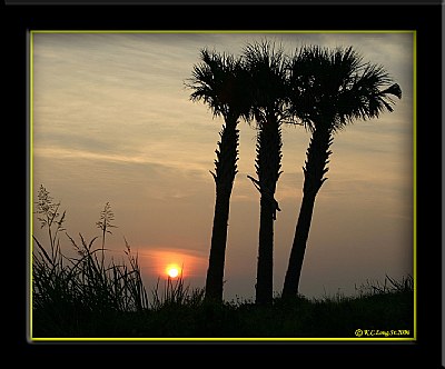 "SunRise New Orleans"