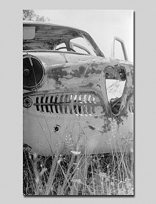 Alfa Romeo in the field