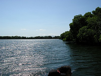 The Lagoon, seen East, Manglares (National park Lagoon of the Restinga)