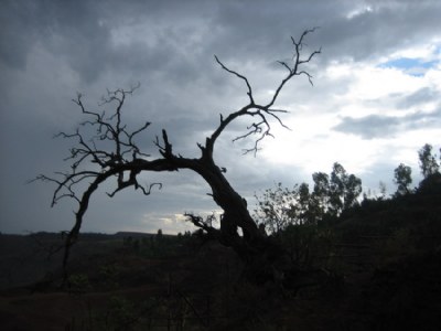 Lalibela Afternoon