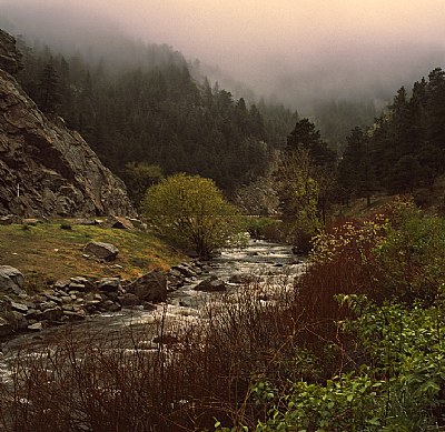 misty spring stream