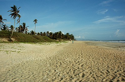 Goa Colva beach