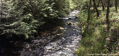 Lakes Trail