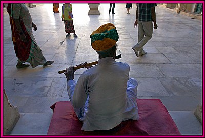 Flute Charmer