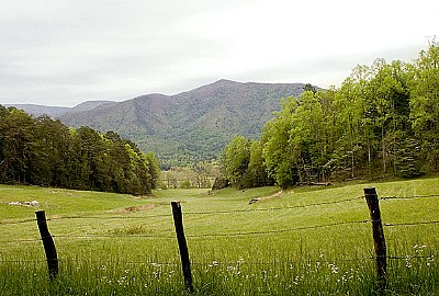 Cades Cove 2